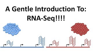 StatQuest A gentle introduction to RNAseq [upl. by Amesari931]