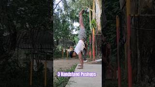 Enei olop calisthenics handstandpushup bodyweightexercises [upl. by Oiludbo]