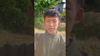 Eee Ghairi hai khetama dhanai jhulyo Hjr lai dekhda mannai vulyovillage nepalivlogvideos [upl. by Pinkham]