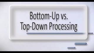 Bottomup vs topdown processing introductory psychology concepts General psychology [upl. by Sitelc84]