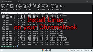 Install Linux on your Chromebook [upl. by Sallyann748]