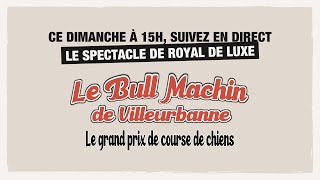 Le Bull Machin de Villeurbanne spectacle de la compagnie Royal De Luxe [upl. by Lananna]