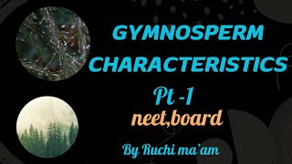 Gymnospermsclass 11plant kingdom general featurescbsencert biologyneetCBSEchapter3 [upl. by Darryl]