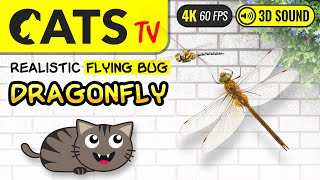 GAME FOR CATS  Realistic Dragonfly for cats to watch 4K 🔴60FPS CATS TV [upl. by Anaiek146]