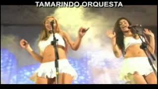 Tamarindo Orquesta  Los Sabanales [upl. by Edmonda]