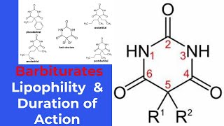 structureactivity relationship SAR of barbiturates [upl. by Rinna]