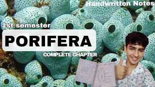 Porifera  Bsc Zoology 1st semester  Handwritten notes pdf sponges [upl. by Durman]