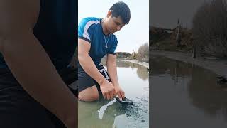 What is the tilapia doing here they were trapped amazing cambodia fishing fishingtips [upl. by Annawd]