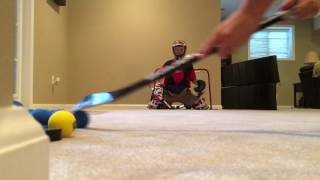 Mini Hockey Shots With Goalie [upl. by Ecinereb]