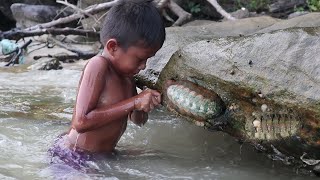 Survival Skills Finding Chiton and Cooking on Sand [upl. by Dasie]