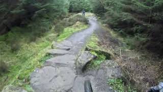 Hamsterley forest mtb [upl. by Louise512]