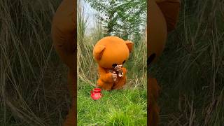 Mr Teddy bear fanny video comedy funnyteddy stuffedanimal funny funteddy teddybear toocute [upl. by Keir]