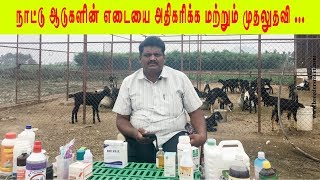 நாட்டு ஆடு வளர்ப்போர்கள் கட்டாயம் தெரிந்திருக்க வேண்டிய  Basic goat health management [upl. by Yekcim379]