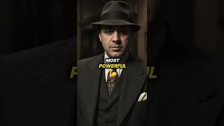 Insane Al Capone Facts facts amazingfacts didyouknowfacts alcapone [upl. by Etteluap]