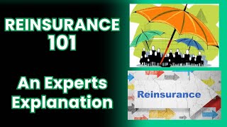 Reinsurance 101 [upl. by Schug69]