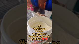 hand feeding formula a19❤️❤️❤️a19 handfeeding parrotinformation birds animals trending viral [upl. by Oiluarb]