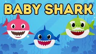 Baby shark doo doo  kids song  baby shark fun song [upl. by Auqkinahs386]