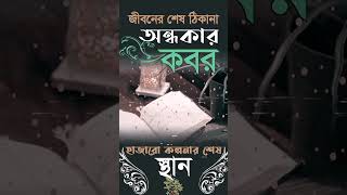 Koborer Dak Anisur Rahman islamicstatus shortvideo shorts waz islamishorts [upl. by Arinayed]