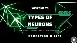 Neurons  Types of Neurons  Complete explained [upl. by Lecroy498]