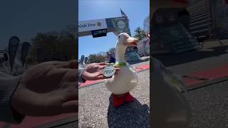 Wrinkle Duck Beat many people in racing 🥰☺️ [upl. by Sutelc]