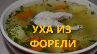 Уха из форелиСуп с форели и с картофелем [upl. by Sair82]