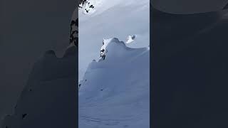 Deep Powder Skiing Oct 24 Alaska  Silverton Mountain Guides  Supple Drink shorts snow skiing [upl. by Mainis]