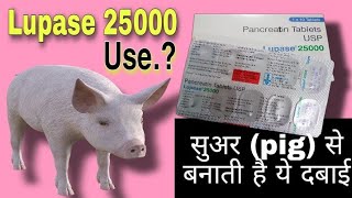 Lupase 25000 usage in Hindi  Creon Tablet benefits and side effects [upl. by Seko]