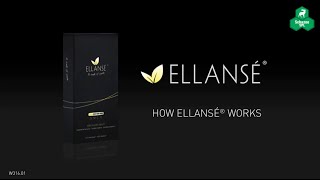 ELLANSE FILLER  HANDSON TRAINING BY DR RAMI HAIDAR [upl. by Drauode279]