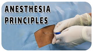 Anesthesia Principles [upl. by Nylhtiak]