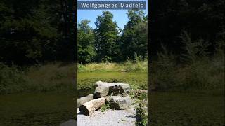 Wolfgangsee Madfeld [upl. by Arted727]