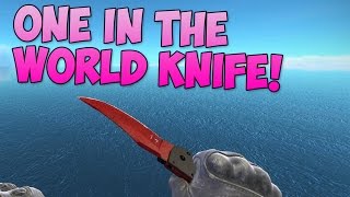 CS GO  The Rarest Knife  McSkillet Inventory Update [upl. by Jann]