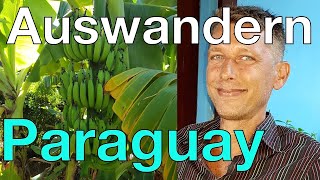 Auswandern PARAGUAY Wie Tobias sein Leben entschleunigt online arbeitet ampdie Demonstrationen sieht [upl. by Rehpotsirhc645]