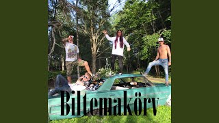 Biltemakörv [upl. by Reames]