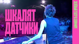 Земфира — Шкалят датчики LIVE  «Зелёный театр в Земфире» 2008 [upl. by Narod]