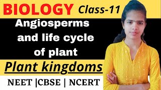 Angiosperm and life cycle of plant Plant kingdom  Class 11 CBSE  NCERT  NEET  Part6 [upl. by Mosira]