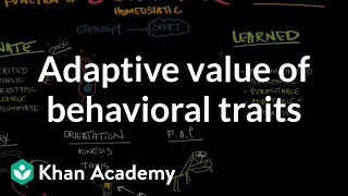 Adaptive value of behavioral traits  Behavior  MCAT  Khan Academy [upl. by Jacqui]