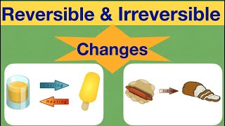 Changes Around Us Reversible amp Irreversible change class 6 sciencechemistry part2 [upl. by Alwitt]