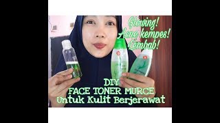 DIY FACE TONER Untuk Kulit Berjerawat [upl. by Samuella228]