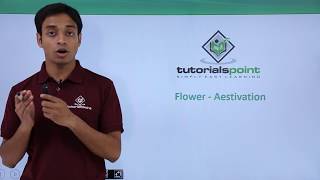 Class 11th – Flower – Aestivation  Morphology of Flowering Plants  Tutorials Point [upl. by Gerbold]