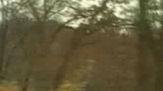 DIVINE RAPTURE  MUSIC VIDEO 1999 BLACK MOON HARVEST [upl. by Cavill]