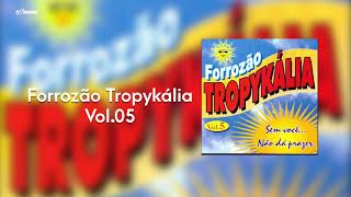 Forrozão Tropykália  Vol 5  Sem Você Não Dá Prazer  CD Completo [upl. by Nosemyaj]