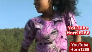 Best New Ethiopian Traditional Music [upl. by Namia]