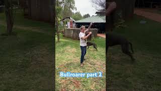 Part 2 of how a Bullroarer works indigenous [upl. by Lahsiv]