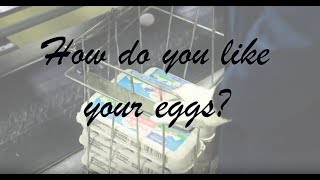 How do you like your eggs [upl. by Yeliah]