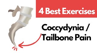 4 Best Coccyx pain exercises Tailbone Pain Exercises in Hindi [upl. by Blankenship74]