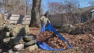 Stop raking leaves The tricks to easier leaf cleanup [upl. by Erwin380]