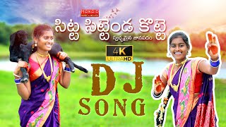 SITTA SITTENDA KOTTE PART 1 FULL SONG  Latest DJ Song 2020  Bunny Yadav  PARSHURAM NAGAM [upl. by Odradlig]