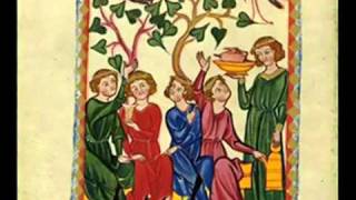 Istu vinum bonum vinum vinum generosu  Micrologus  Codex Manesse [upl. by Nevear502]