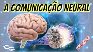 A Linguagem dos Neurônios  PdT no Foco 10 [upl. by Beaner]