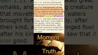 Moment of Truth  The Firmament  Part 2 [upl. by Ahsinam]